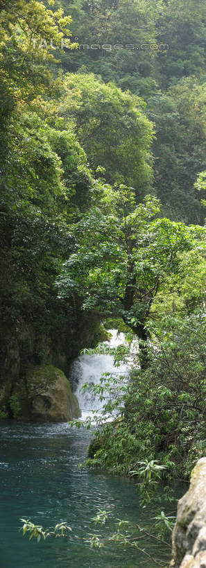 无人,竖图,室外,白天,正面,旅游,度假,湖,湖泊,美景,瀑布,森林,树林,水,植物,中国,亚洲,阴影,波纹,飞溅,溅,光线,液体,影子,湖面,景观,水滴,水流,水面,涟漪,娱乐,水珠,树,树木,绿色,倒影,水纹,阳光,自然,波浪,湖水,享受,休闲,景色,放松,生长,成长,倒映,喷洒,自然风光,东亚,贵州,贵州省,中华人民共和国,水晕,黔,西南地区,反照,跌水,彩图,shtjw1