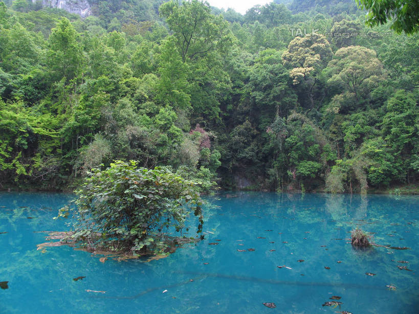 无人,横图,室外,白天,正面,旅游,度假,湖,湖泊,美景,森林,树林,水,植物,中国,亚洲,阴影,波纹,光线,影子,湖面,景观,水流,水面,涟漪,娱乐,树,树木,绿色,倒影,水纹,阳光,自然,波浪,湖水,享受,休闲,景色,放松,生长,成长,倒映,自然风光,东亚,贵州,贵州省,中华人民共和国,水晕,黔,西南地区,反照,彩图,shtjw1