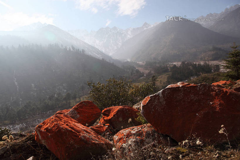 无人,横图,室外,白天,正面,旅游,度假,石头,美景,森林,山,树林,雪,雪山,植物,雾,大雪,贡嘎山,中国,亚洲,阴影,朦胧,模糊,光线,石子,影子,冰,积雪,景观,山顶,山峰,雪景,云,云朵,冬季,冬天,山峦,云彩,娱乐,树,树木,蓝色,绿色,白云,蓝天,天空,阳光,自然,天,享受,休闲,景色,放松,寒冷,四川省,生长,晴朗,成长,迷雾,冰冷,自然风光,东亚,沉积岩,四川,甘孜藏族自治州,中华人民共和国,西南地区,严寒,川,甘孜,甘孜州,冰凉,酷寒,凛冽,凛凛,极冷,保护区,颠峰,极峰,自然保护区,贡嘎山风景区,贡嘎山国家级自然保护区,贡嘎山自然保护区,水成岩,石块,岩石,大雾,晴空,彩图,shtjw1