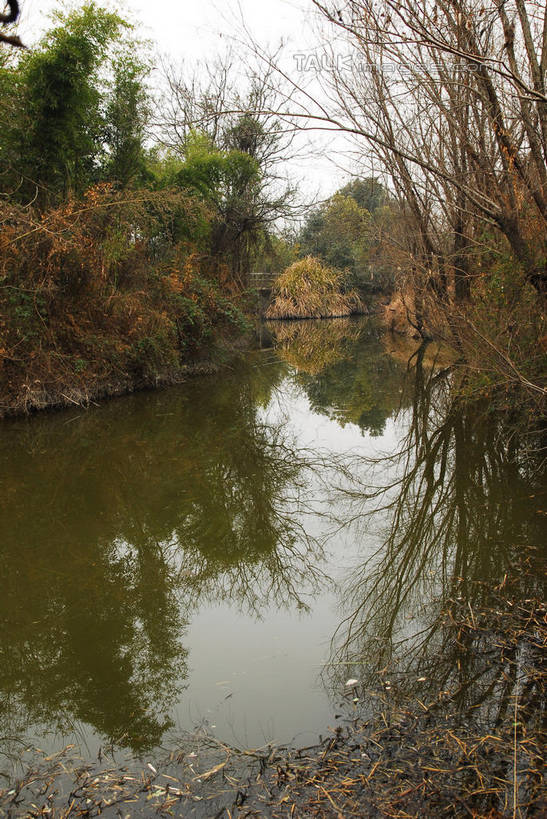 无人,公园,竖图,室外,白天,正面,旅游,度假,湖,湖泊,美景,水,植物,中国,亚洲,湖面,景观,水流,水面,乌云,云,阴天,云朵,枝条,云彩,娱乐,浙江,树,树木,树枝,浙江省,绿色,天空,自然,湖水,天,享受,休闲,景色,放松,生长,成长,杭州,西溪,昏暗,阴沉,自然风光,东亚,杭州市,中华人民共和国,华东地区,省会,浙,虬枝,枝杈,西湖区,彩图,西溪国家湿地公园,杭州之肺,杭州西溪国家湿地公园,shwf1