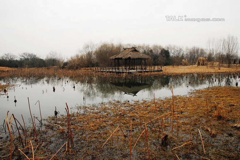 无人,公园,横图,室外,白天,正面,旅游,度假,河流,美景,水,芦苇,叶子,中国,亚洲,阴影,光线,影子,亭子,河水,景观,水流,粽叶,绿叶,娱乐,浙江,浙江省,蓝色,蓝天,天空,阳光,自然,凉亭,天,享受,休闲,嫩叶,景色,放松,晴朗,杭州,西溪,自然风光,东亚,杭州市,万里无云,中华人民共和国,华东地区,省会,浙,箬叶,芦苇叶,西湖区,叶,叶片,晴空,晴空万里,彩图,西溪国家湿地公园,杭州之肺,杭州西溪国家湿地公园,shwf1