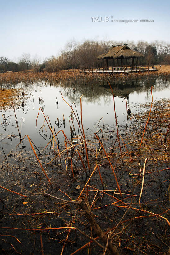 无人,公园,竖图,室外,白天,正面,旅游,度假,河流,美景,水,芦苇,叶子,中国,亚洲,阴影,光线,影子,亭子,河水,景观,水流,粽叶,绿叶,娱乐,浙江,浙江省,蓝色,蓝天,天空,阳光,自然,凉亭,天,享受,休闲,嫩叶,景色,放松,晴朗,杭州,西溪,自然风光,东亚,杭州市,万里无云,中华人民共和国,华东地区,省会,浙,箬叶,芦苇叶,西湖区,叶,叶片,晴空,晴空万里,彩图,西溪国家湿地公园,杭州之肺,杭州西溪国家湿地公园,shwf1