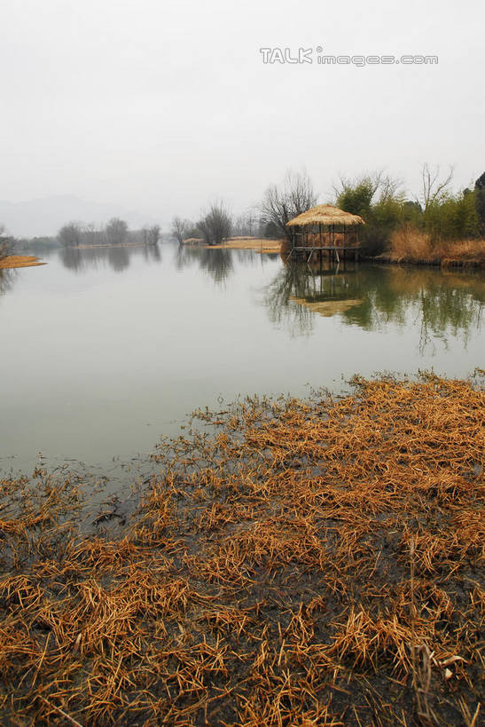 无人,公园,竖图,室外,白天,正面,旅游,度假,河流,美景,水,芦苇,叶子,中国,亚洲,阴影,光线,影子,亭子,河水,景观,水流,粽叶,绿叶,娱乐,浙江,浙江省,蓝色,蓝天,天空,阳光,自然,凉亭,天,享受,休闲,嫩叶,景色,放松,晴朗,杭州,西溪,自然风光,东亚,杭州市,万里无云,中华人民共和国,华东地区,省会,浙,箬叶,芦苇叶,西湖区,叶,叶片,晴空,晴空万里,彩图,西溪国家湿地公园,杭州之肺,杭州西溪国家湿地公园,shwf1