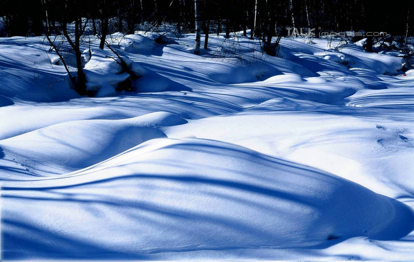 无人,横图,室外,白天,正面,旅游,度假,石头,美景,森林,树林,雪,植物,大雪,中国,亚洲,阴影,光线,石子,影子,积雪,景观,雪景,冬季,冬天,娱乐,树,树木,绿色,阳光,自然,享受,休闲,景色,放松,寒冷,生长,成长,黑,自然风光,东亚,北大荒,黑龙江,黑龙江省,三江平原,中华人民共和国,严寒,东北地区,石块,彩图,北大仓,shzwj1