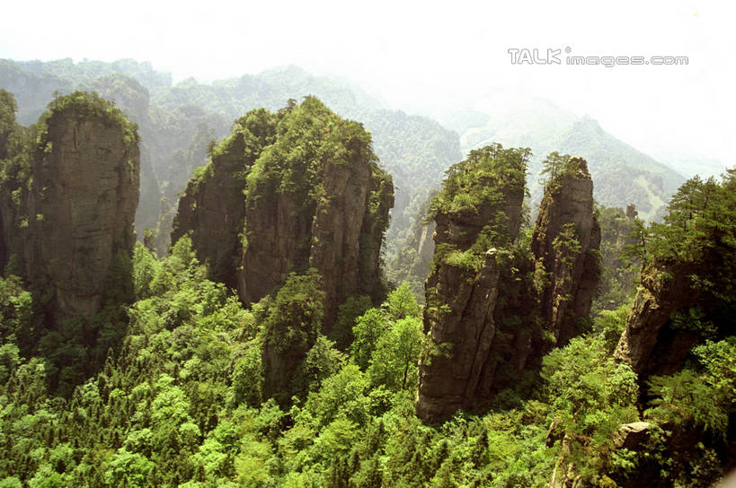 无人,公园,横图,室外,白天,正面,旅游,度假,石头,美景,森林,山,山脉,树林,植物,张家界,中国,亚洲,阴影,光线,石子,影子,景观,山顶,山峰,山峦,娱乐,树,树木,绿色,阳光,自然,群山,享受,休闲,景色,放松,生长,成长,自然风光,东亚,湖南,湖南省,森林公园,张家界国家森林公园,中华人民共和国,华中地区,湘,张家界市,颠峰,极峰,石块,彩图,shzwj1