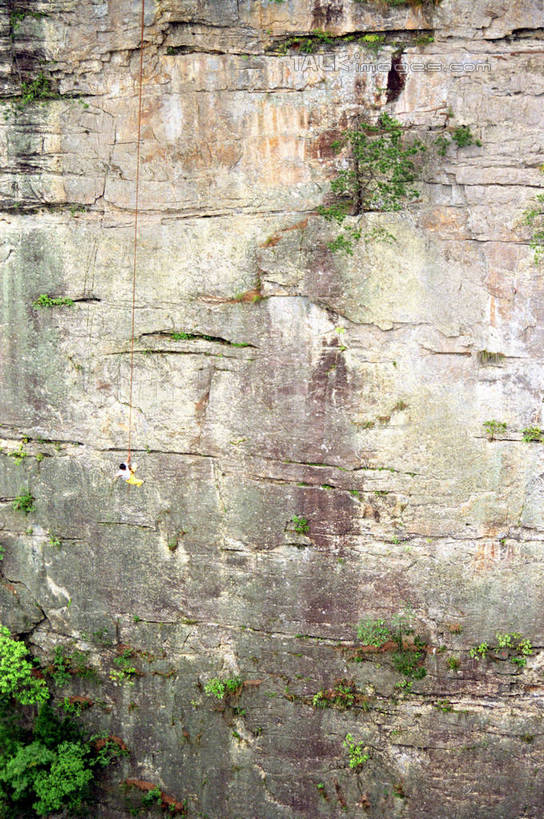 无人,公园,竖图,室外,白天,正面,旅游,度假,石头,美景,山,山脉,植物,张家界,中国,亚洲,石子,景观,山峰,山峦,娱乐,树,树木,绿色,自然,群山,享受,休闲,景色,放松,生长,成长,自然风光,东亚,湖南,湖南省,森林公园,张家界国家森林公园,中华人民共和国,华中地区,湘,张家界市,石块,彩图,shzwj1