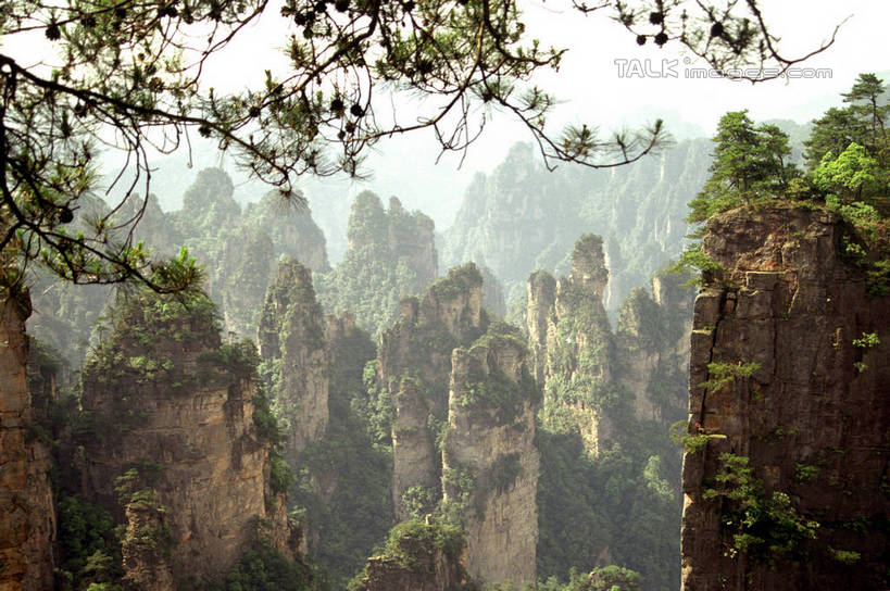 无人,公园,横图,室外,白天,正面,旅游,度假,石头,美景,森林,山,山脉,树林,植物,雾,张家界,中国,亚洲,阴影,朦胧,模糊,光线,石子,影子,景观,山顶,山峰,山峦,娱乐,树,树木,绿色,阳光,自然,群山,享受,休闲,景色,放松,生长,成长,迷雾,自然风光,东亚,湖南,湖南省,森林公园,张家界国家森林公园,中华人民共和国,华中地区,湘,张家界市,颠峰,极峰,石块,大雾,彩图,shzwj1