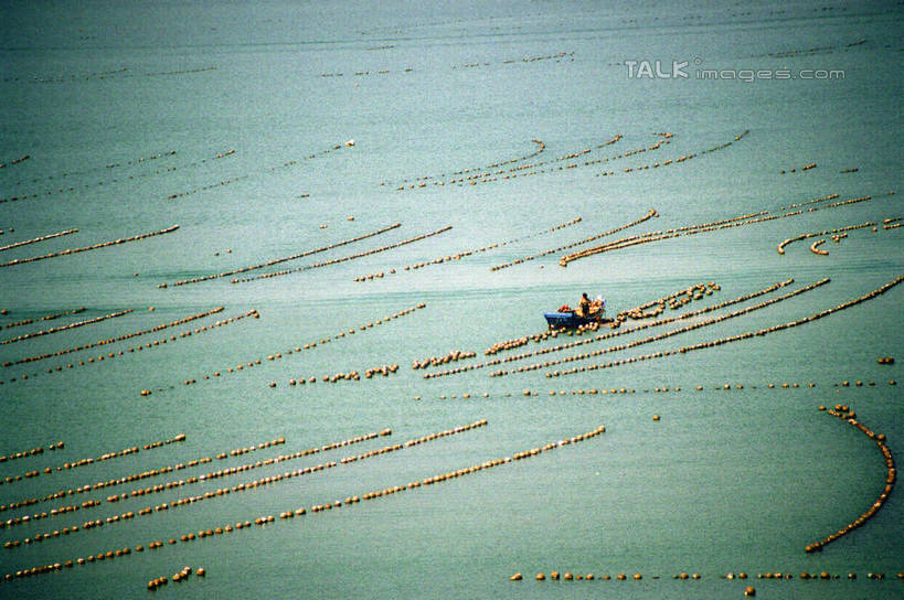 无人,横图,俯视,室外,白天,旅游,度假,海浪,海洋,美景,沙滩,船,中国,亚洲,阴影,光线,沙子,影子,海岸,景观,浪花,木船,沙地,娱乐,山东,烟台,阳光,自然,海水,交通工具,享受,休闲,景色,放松,舟,自然风光,载具,海景,东亚,山东省,长岛,中华人民共和国,华东地区,鲁,烟台市,大海,风浪,海,海水的波动,海滩,近岸浪,涌浪,彩图,高角度拍摄,沙门岛,庙岛群岛,长山列岛,长岛县,shzwj1