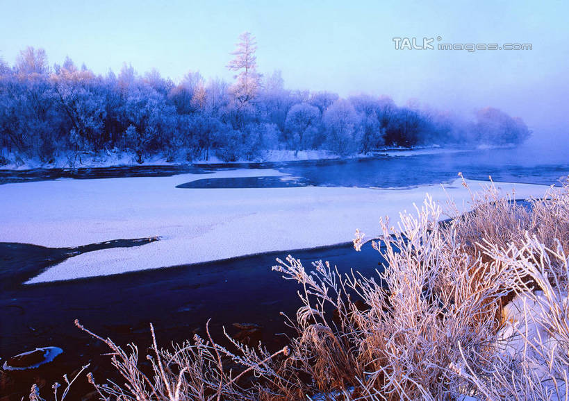 无人,横图,室外,白天,正面,旅游,度假,河流,美景,水,雪,植物,大雪,中国,亚洲,阴影,光线,影子,河水,积雪,景观,水流,雪景,冬季,冬天,娱乐,树,树木,蓝色,绿色,蓝天,天空,阳光,自然,天,享受,休闲,景色,放松,寒冷,生长,晴朗,成长,黑,自然风光,东亚,北大荒,黑龙江,黑龙江省,三江平原,万里无云,中华人民共和国,严寒,东北地区,晴空,晴空万里,彩图,北大仓,shzwj1