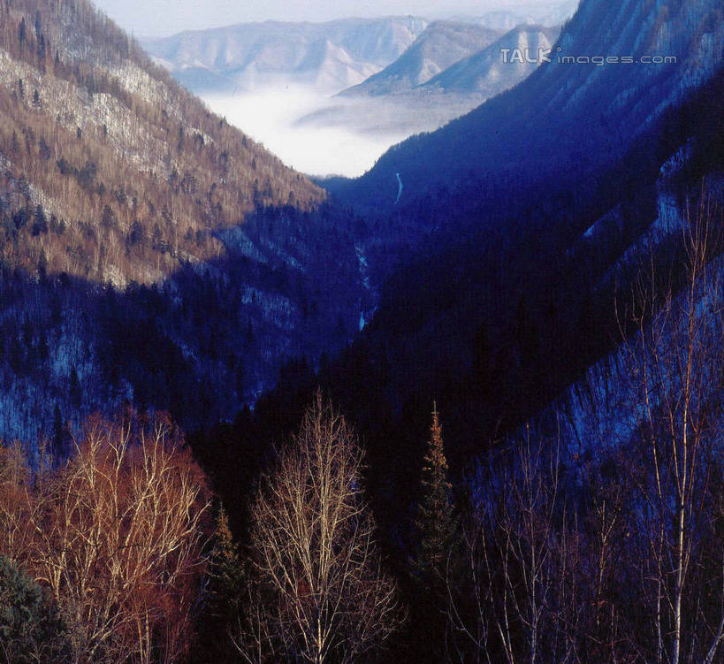 无人,横图,室外,白天,正面,旅游,度假,石头,美景,森林,山,树林,雪,雪山,植物,大雪,中国,亚洲,阴影,光线,石子,影子,冰,积雪,景观,山顶,山峰,雪景,冬季,冬天,山峦,娱乐,树,树木,蓝色,绿色,蓝天,天空,阳光,自然,天,享受,休闲,景色,放松,寒冷,生长,晴朗,成长,黑,冰冷,自然风光,东亚,沉积岩,北大荒,黑龙江,黑龙江省,三江平原,万里无云,中华人民共和国,严寒,冰凉,酷寒,凛冽,凛凛,极冷,东北地区,颠峰,极峰,水成岩,石块,岩石,晴空,晴空万里,彩图,北大仓,shzwj1