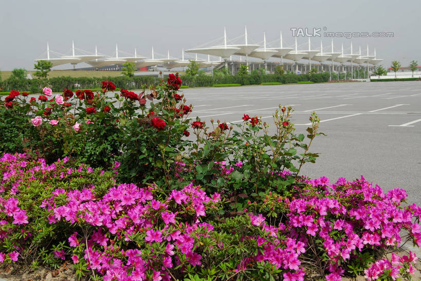 无人,横图,室外,白天,正面,度假,花海,花圃,美景,植物,城市风光,城市,道路,路,公路,叶子,上海,中国,亚洲,阴影,盛开,光线,伞,影子,雨伞,遮阳伞,景观,分界线,停车线,交通,花蕾,娱乐,阳伞,花,花瓣,花朵,花卉,鲜花,树,树木,蓝色,绿色,蓝天,天空,阳光,自然,花丛,花束,花田,天,花苞,花蕊,享受,休闲,景色,放松,生长,晴朗,成长,车行道,车行道分界线,申,太阳伞,标线,东亚,车行线,上海国际赛车场,上海市,嘉定区,万里无云,赛车场,中华人民共和国,沪,华东地区,晴空,晴空万里,马路,彩图,上海国际赛道,shzxz1