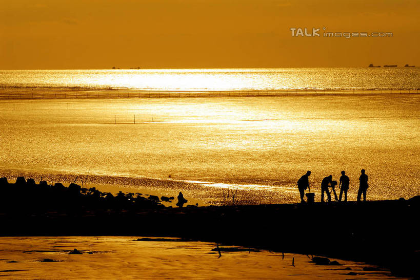 东方人,四个人,伙伴,朋友,站,横图,室外,白天,旅游,度假,友谊,草地,草坪,海浪,海洋,美景,日落,沙滩,植物,相机,上海,中国,亚洲,弯腰,握,阴影,服装,光线,沙子,影子,海岸,景观,浪花,水平线,晚霞,霞光,落日,辽阔,海平线,沙地,拿,拿着,休闲装,黄种人,娱乐,浦东,草,拍照,背面,衣服,绿色,阳光,自然,海水,黄昏,数码相机,站着,享受,休闲,广阔,休闲服,景色,彩霞,单反,放松,握着,摄影,服饰,单反相机,一望无际,支撑,申,自然风光,三脚架,海景,浦东新区,东亚,上海市,中华人民共和国,沪,华东地区,弯身,稳定,无边无际,一马平川,夕照,薄暮,巩固,友情,男人,男性,年轻男性,亚洲人,照相机,大海,风浪,海,海水的波动,海滩,近岸浪,涌浪,夕阳,站立,彩图,全身,照相,傍晚,水天相接,水天一线,斜阳,稳固,南汇角,南汇嘴,shzxz1
