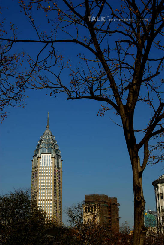无人,高楼大厦,竖图,室外,白天,仰视,度假,美景,植物,城市风光,标志建筑,城市,大厦,地标,建筑,摩天大楼,上海,中国,亚洲,阴影,光线,影子,景观,娱乐,建设,树,树木,蓝色,绿色,蓝天,天空,阳光,自然,天,享受,休闲,景色,放松,生长,晴朗,成长,申,黄浦区,东亚,上海市,光明大厦,万里无云,中华人民共和国,沪,华东地区,晴空,晴空万里,彩图,低角度拍摄,大楼,高层建筑,高楼,摩天楼,金陵东路,shzxz1