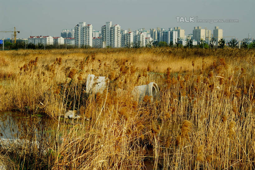 无人,高楼大厦,横图,室外,白天,正面,度假,河流,美景,水,植物,城市风光,城市,大厦,建筑,摩天大楼,上海,中国,亚洲,阴影,波纹,枯萎,光线,影子,河水,景观,水流,枯草,涟漪,娱乐,建设,草,树,树木,黄色,蓝色,绿色,倒影,蓝天,水纹,天空,阳光,自然,波浪,天,享受,休闲,景色,放松,生长,晴朗,成长,申,倒映,杨浦区,东亚,上海市,新江湾城,万里无云,中华人民共和国,沪,华东地区,水晕,反照,晴空,晴空万里,彩图,大楼,高层建筑,高楼,摩天楼,shzxz1