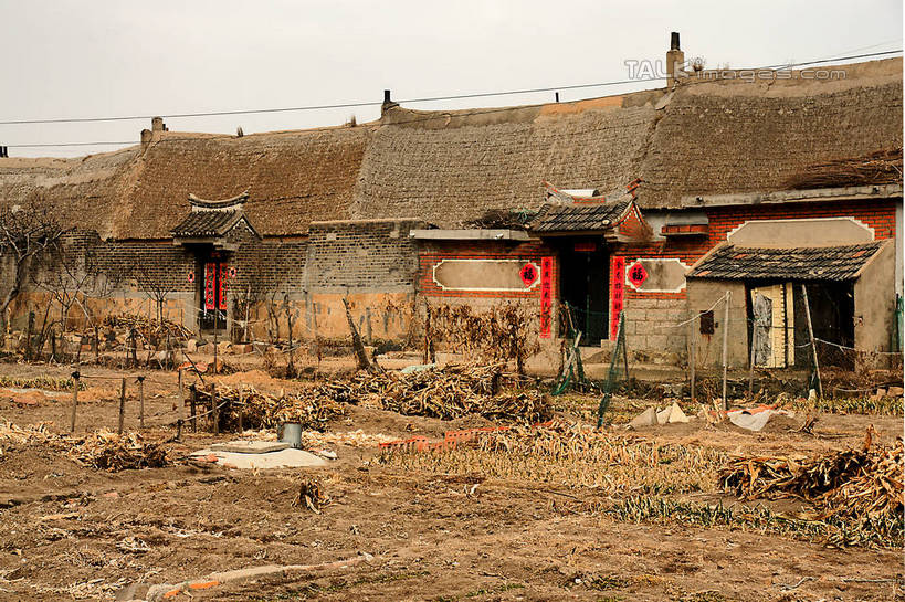 无人,家,横图,室外,白天,正面,度假,荒凉,美景,植物,门,道路,路,中国,对联,亚洲,一堆,许多,阴影,堆叠,堆积,枯萎,电力,光线,标志,电线,瓦片,文字,线,影子,字符,房屋,墙,屋顶,屋檐,屋子,景观,泥土,土壤,云,云朵,小路,枯草,电能,交通,线路,云彩,顶棚,娱乐,标识,山东,楼房,檐,民居,民宅,墙壁,墙面,住宅,草,黄色,红色,蓝色,灰色,白云,蓝天,天空,阳光,门框,天,享受,休闲,汉字,景色,放松,晴朗,春联,堆,电,电源,电源线,中文,能量,东亚,粘贴,山东省,威海,中华人民共和国,华东地区,国文,华文,鲁,威海市,柴禾,荒地,荒芜,晴空,彩图,房子,荣成,荣成市,shzyn1