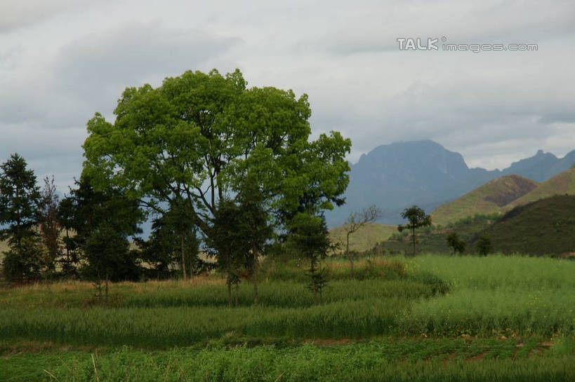 无人,横图,室外,白天,正面,旅游,度假,草地,草坪,美景,山,山脉,植物,中国,亚洲,景观,山峰,云,云朵,山峦,云彩,娱乐,浙江,草,树,树木,浙江省,蓝色,绿色,白云,蓝天,天空,自然,群山,天,享受,休闲,景色,放松,生长,晴朗,成长,自然风光,东亚,永嘉,中华人民共和国,华东地区,浙,茗岙,温州,温州市,晴空,彩图,茗岙乡,永嘉县,shzyn1