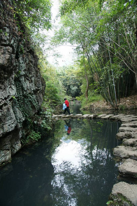 无人,竖图,室外,白天,正面,旅游,度假,河流,石头,美景,森林,山,山脉,树林,水,植物,黄果树瀑布,中国,亚洲,石子,河水,景观,山峰,水流,山峦,娱乐,树,树木,绿色,自然,群山,享受,休闲,景色,放松,生长,成长,自然风光,东亚,贵州,贵州省,安顺,中华人民共和国,安顺市,黔,西南地区,天星桥,黄果树大瀑布,石块,岩石,彩图,天星桥景区,镇宁布依族苗族自治县,镇宁县,shzyn1