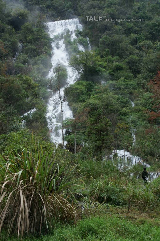 无人,竖图,室外,白天,仰视,旅游,度假,美景,瀑布,森林,山,山脉,树林,水,植物,黄果树瀑布,中国,亚洲,飞溅,溅,液体,景观,山峰,水滴,山峦,娱乐,水珠,树,树木,绿色,自然,群山,享受,休闲,景色,放松,生长,成长,喷洒,自然风光,东亚,贵州,贵州省,安顺,中华人民共和国,荔波大小七孔,安顺市,黔,西南地区,黔南,黔南州,黔南布依族苗族自治州,黄果树大瀑布,跌水,彩图,低角度拍摄,大小七孔,荔波,荔波县,荔波小七孔,镇宁布依族苗族自治县,镇宁县,shzyn1