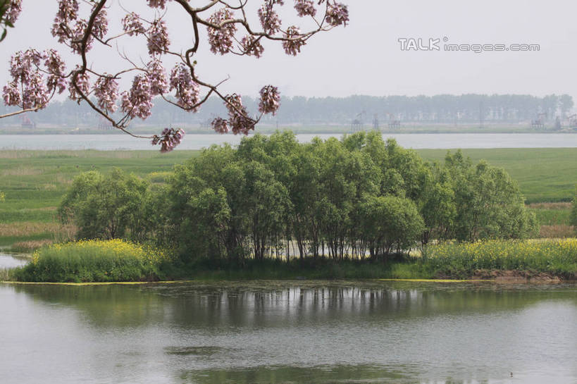 无人,横图,室外,白天,正面,旅游,度假,草地,草坪,河流,美景,树林,水,植物,许多,阴影,盛开,光线,影子,河水,景观,水流,花蕾,娱乐,草,花,花瓣,花朵,鲜花,树,树木,粉色,绿色,倒影,天空,阳光,自然,天,花苞,花蕊,享受,休闲,景色,放松,生长,成长,倒映,自然风光,反照,彩图,tascy1