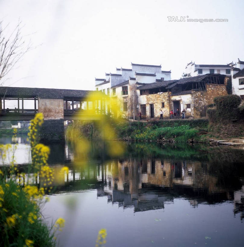 东方人,家,站,竖图,室外,白天,正面,旅游,度假,河流,美景,水,植物,中国,亚洲,许多,阴影,朦胧,模糊,盛开,光线,影子,房屋,屋子,河水,景观,水流,许多人,花蕾,黄种人,娱乐,江苏,苏州,民居,住宅,花,花瓣,花朵,鲜花,树,树木,古镇,黄色,蓝色,绿色,蓝天,天空,阳光,自然,天,花苞,花蕊,油菜花,站着,一群人,享受,休闲,景色,放松,水乡,生长,成长,自然风光,东亚,江苏省,苏州市,中华人民共和国,华东地区,苏,甪直,甪直古镇,桥都,神州水乡第一镇,男人,男性,年轻男性,年轻女性,女人,女性,亚洲人,站立,彩图,全身,房子,yzdzj1