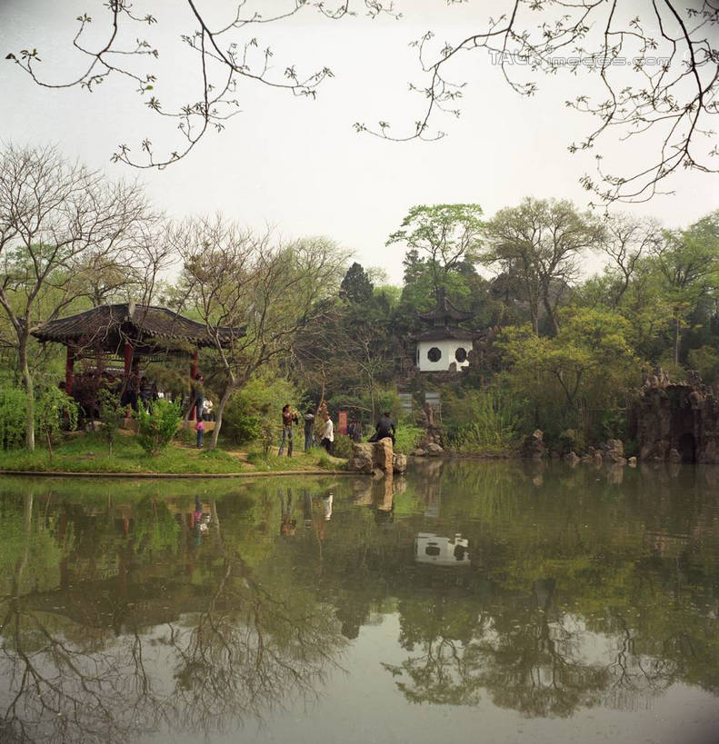 东方人,竖图,室外,白天,正面,旅游,度假,草地,草坪,湖,湖泊,美景,水,植物,中国,亚洲,许多,阴影,光线,影子,亭子,湖面,景观,水流,水面,塔,许多人,黄种人,娱乐,江苏,苏州,草,树,树木,古镇,蓝色,绿色,蓝天,天空,阳光,自然,凉亭,湖水,天,一群人,享受,休闲,景色,放松,水乡,生长,成长,自然风光,东亚,江苏省,苏州市,中华人民共和国,华东地区,苏,甪直,甪直古镇,桥都,神州水乡第一镇,男人,男性,年轻男性,年轻女性,女人,女性,亚洲人,彩图,全身,yzdzj1