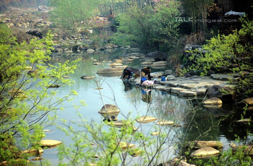 东方人,两个人,家,蹲,横图,俯视,室外,白天,旅游,度假,河流,美景,水,植物,中国,亚洲,许多,阴影,光线,影子,房屋,屋子,河水,景观,水流,拿,拿着,黄种人,娱乐,江苏,苏州,洗衣,民居,住宅,树,树木,古镇,绿色,阳光,自然,享受,休闲,景色,放松,水乡,生长,成长,自然风光,东亚,江苏省,苏州市,中华人民共和国,华东地区,苏,甪直,甪直古镇,桥都,神州水乡第一镇,女人,女性,中年女性,亚洲人,蹲着,清洗,彩图,高角度拍摄,全身,房子,yzdzj1