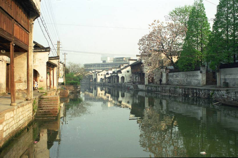 无人,家,横图,室外,白天,正面,旅游,度假,河流,美景,水,植物,中国,亚洲,许多,阴影,光线,影子,房屋,阶梯,屋子,河水,景观,水流,娱乐,浙江,民居,台阶,住宅,树,树木,浙江省,蓝色,绿色,倒影,蓝天,天空,阳光,自然,天,享受,休闲,石阶,景色,放松,水乡,生长,成长,杭州,自然风光,东亚,杭州市,中华人民共和国,华东地区,省会,浙,南浔,南浔古镇,彩图,房子,yzdzj1