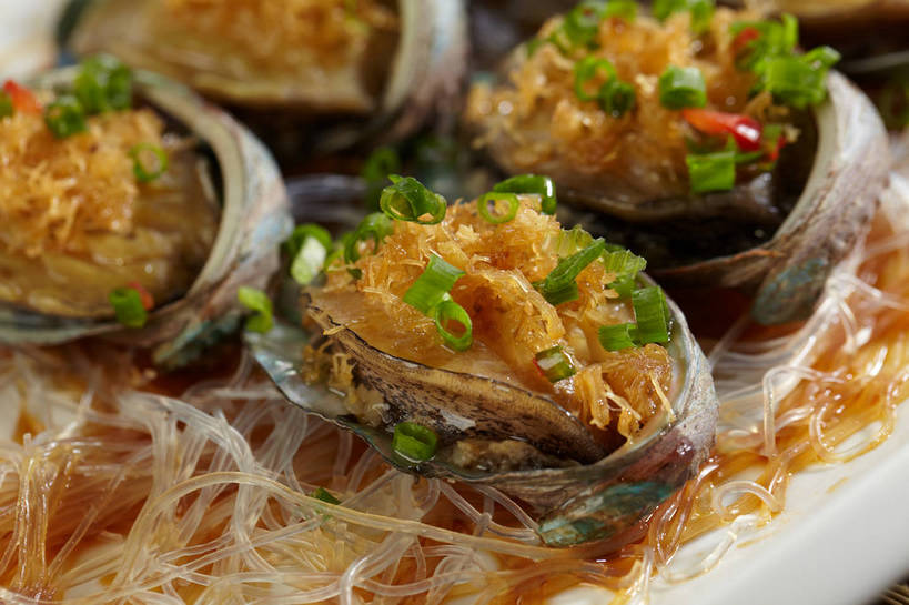 海鲜,面食,面条,无人,横图,俯视,室内,特写,白天,烹饪,中餐,餐具,一排,许多,朦胧,模糊,整齐,并列,并排,碟子,盘,陶瓷,葱,青葱,调味,面,香料,佐料,料理,食品,陶瓷制品,很多,粉丝,水产,菜肴,美食,海洋生物,食物,排列,盘子,碟,中式,鲍鱼,佳肴,中华料理,石决明,配料,队列,水生动物,海产品,平行,水生物,海底动物,作料,鳆鱼,镜面鱼,明目鱼,冬粉,彩图,高角度拍摄,shjb1,粉丝鲍鱼,粉丝蒸鲍鱼