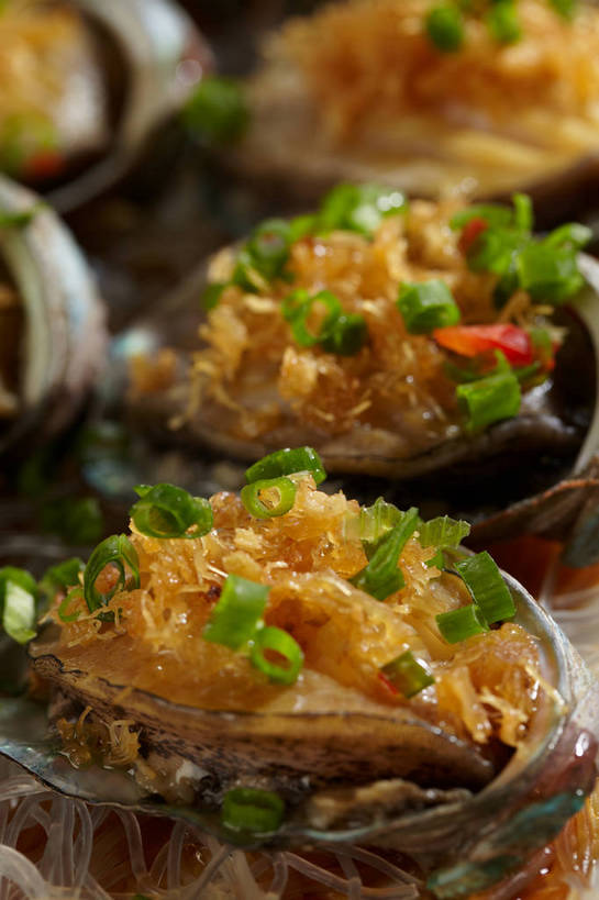 海鲜,面食,面条,无人,竖图,俯视,室内,特写,白天,烹饪,中餐,餐具,一排,许多,朦胧,模糊,整齐,并列,并排,碟子,盘,陶瓷,葱,青葱,调味,面,香料,佐料,料理,食品,陶瓷制品,很多,粉丝,水产,菜肴,美食,海洋生物,食物,排列,盘子,碟,中式,鲍鱼,佳肴,中华料理,石决明,配料,队列,水生动物,海产品,平行,水生物,海底动物,作料,鳆鱼,镜面鱼,明目鱼,冬粉,彩图,高角度拍摄,shjb1,粉丝鲍鱼,粉丝蒸鲍鱼