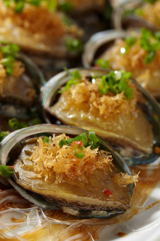 海鲜,面食,面条,无人,竖图,俯视,室内,特写,白天,烹饪,中餐,餐具,一排,许多,朦胧,模糊,整齐,并列,并排,碟子,盘,陶瓷,葱,青葱,调味,面,香料,佐料,料理,食品,陶瓷制品,很多,粉丝,水产,菜肴,美食,海洋生物,食物,排列,盘子,碟,中式,鲍鱼,佳肴,中华料理,石决明,配料,队列,水生动物,海产品,平行,水生物,海底动物,作料,鳆鱼,镜面鱼,明目鱼,冬粉,彩图,高角度拍摄,shjb1,粉丝鲍鱼,粉丝蒸鲍鱼