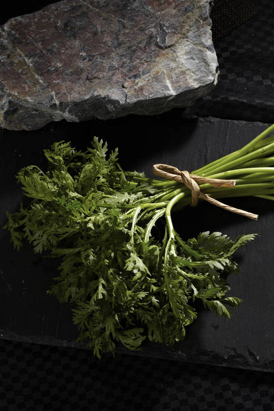 无人,竖图,俯视,室内,特写,白天,石头,餐桌,桌子,蔬菜,叶子,一堆,许多,堆叠,堆积,新鲜,石子,食品,绿叶,蓬蒿,很多,食物,绿色,绳子,嫩叶,有机食品,绿色食品,餐台,堆,捆绑,绳索,茼蒿,春菊,茼蒿菜,绑缚,叶,叶片,石块,岩石,彩图,高角度拍摄,shjb1