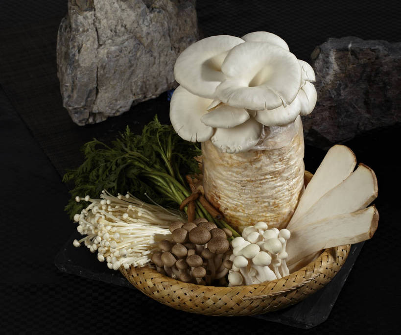 无人,交叉,横图,俯视,室内,特写,白天,烹饪,中餐,石头,餐桌,桌子,竹子,蔬菜,一堆,许多,切开,堆叠,堆积,竹制,新鲜,编织,篮子,石子,金针菇,菌菇,料理,食品,蓬蒿,很多,菌类,火锅,平菇,菜肴,美食,食物,一个,绳子,竹篮,切,中式,食用菌,佳肴,有机食品,绿色食品,单个,餐台,中华料理,竹条,堆,捆绑,绳索,交织,竹制品,真菌,剖面,切面,茼蒿,姬菇,春菊,茼蒿菜,构菌,金菇,毛柄金钱菌,银针菇,智力菇,绑缚,糙皮侧耳,侧耳,黑牡丹菇,穿插,杏鲍菇,刺芹侧耳,石块,岩石,彩图,高角度拍摄,shjb1