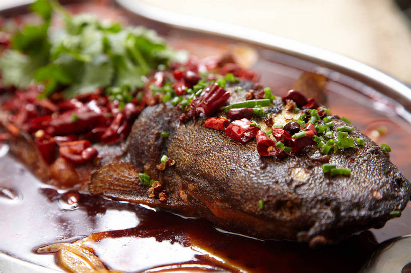 无人,横图,俯视,室内,特写,白天,烹饪,烧烤,中餐,餐桌,桌子,鲶鱼,辣椒,蔬菜,餐具,金属制品,切开,新鲜,金属,鱼,碟子,盘,葱,青葱,香菜,烤鱼,肉,鱼肉,料理,食品,藕,菜肴,美食,肉类,鱼类,食物,一个,盘子,碟,切,中式,佳肴,有机食品,绿色食品,单个,餐台,中华料理,水生动物,川菜,水生物,剖面,肉食,切面,辣角,红海椒,大椒,辣虎,广椒,胡菜,香荽,原荽,园荽,芫荽,胡荽,莞荽,芫茜,芫蓿,莚葛草,莚荽菜,鲇鱼,四川菜,莲藕,辣子,红辣椒,海椒,番椒,彩图,高角度拍摄,淡水生物,菜藕,光旁,果藕,荷藕,湖藕,藕节,水鞭蓉,shjb1,烤鲇鱼