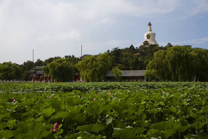 宫殿,横图,彩色,室外,白天,旅游,建材,美景,建筑,莲花,北海公园,北京,中国,亚洲,龙,瓦片,屋顶,走廊,瓦,白塔,墙壁,红色,蓝色,绿色,摄影,建造,莲花池,中国文化,莲,建筑材料,东亚,屋瓦,中华人民共和国,彩图,旅行,目的地,屋面瓦,bj174