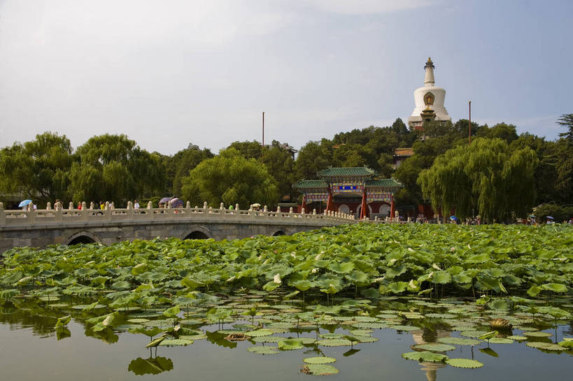 公园,横图,彩色,室外,白天,旅游,度假,建材,美景,名胜古迹,标志建筑,地标,建筑,莲花,北海公园,北京,中国,亚洲,遗迹,瓦片,屋顶,瓦,古迹,文物,娱乐,建设,古建筑,白塔,墙壁,红色,蓝色,绿色,享受,休闲,旅游胜地,放松,摄影,建造,莲花池,中国文化,莲,建筑材料,古文明,东亚,屋瓦,中华人民共和国,皇家园林,彩图,旅行,目的地,屋面瓦,bj174