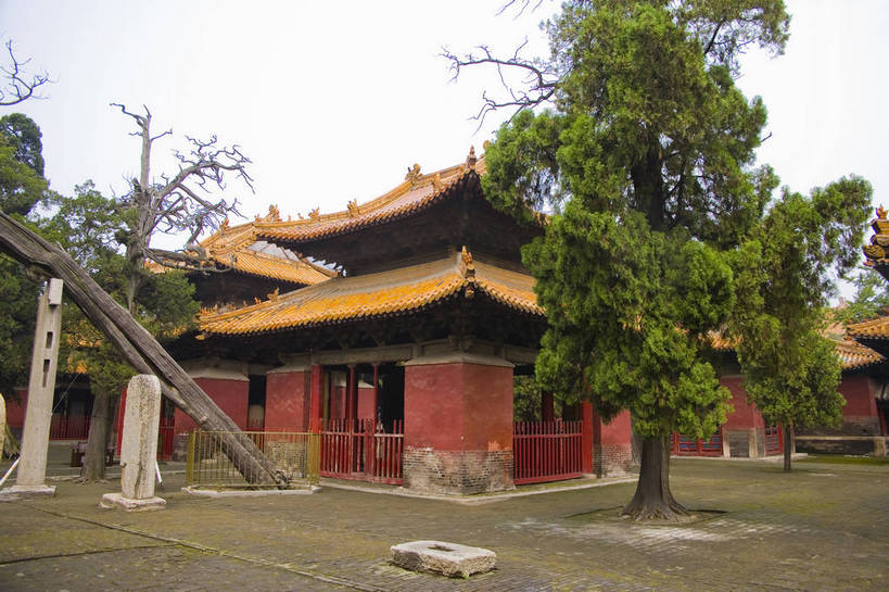 寺庙,横图,彩色,室外,白天,旅游,度假,名胜古迹,标志建筑,地标,建筑,孔庙,中国,遗迹,图片,文化遗产,古迹,文物,娱乐,建设,古建筑,山东,树木,享受,休闲,旅游胜地,放松,摄影,古代建筑,中国文化,古文明,东亚,曲阜,孔子,旅行,庙,传统文化,bj174