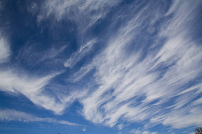 横图,室外,白天,草地,草原,草坪,秋季,植物,坝上,中国,亚洲,清澈,高原,草,绿色,白云,蓝天,天空,天,旅游胜地,摄影,东亚,内蒙古,中华人民共和国,明澈,清彻,清亮,彩图,草甸,bj174