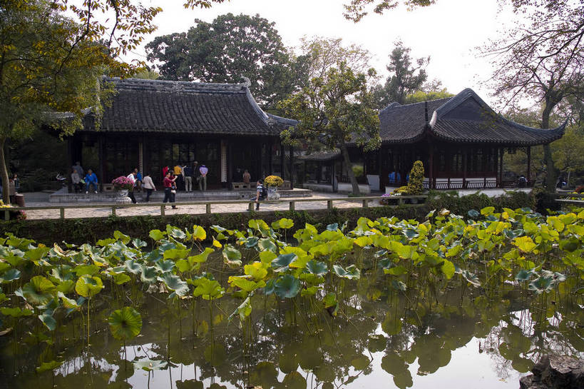 横图,彩色,室外,白天,旅游,度假,名胜古迹,标志建筑,地标,建筑,中国,遗迹,图片,庭院,池塘,水池,建筑群,院子,走廊,古典,古迹,文物,娱乐,建设,古建筑,江苏,苏州,树木,荷花池,凉亭,享受,休闲,旅游胜地,放松,摄影,回廊,园林,中国文化,古文明,东亚,拙政园,苏州园林,旅行,传统文化,bj174