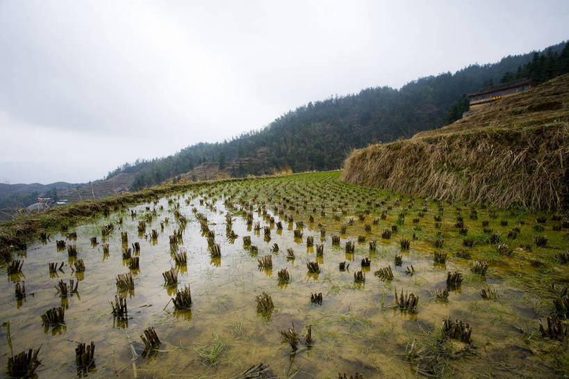 农田,横图,室外,白天,旅游,度假,农业,梯田,名胜古迹,田园,标志建筑,地标,建筑,中国,亚洲,遗迹,民俗,景观,文化遗产,古迹,文物,娱乐,建设,古建筑,特色,自然,享受,休闲,旅游胜地,景色,放松,人文景观,广西,耕作,中国文化,古文明,东亚,龙胜,龙脊梯田,中华人民共和国,古代文明,旅行,传统文化,bj174
