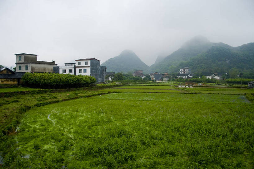 农田,横图,彩色,室外,白天,旅游,美景,田园,桂林,中国,亚洲,景观,自然,摄影,广西,美好,自然风光,东亚,阳朔,中华人民共和国,旅行,bj174