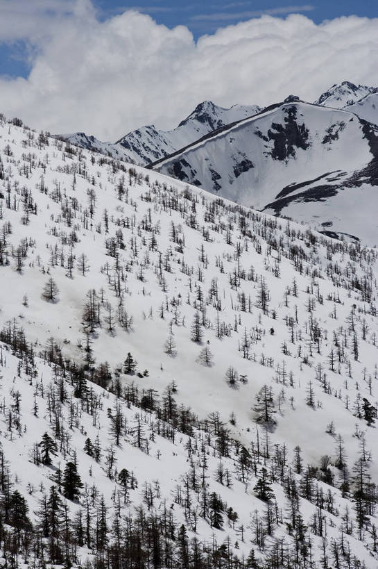 竖图,彩色,旅游,度假,名胜古迹,山,雪山,标志建筑,地标,建筑,中国,亚洲,遗迹,高山,景观,云,古迹,文物,娱乐,建设,古建筑,云南,天空,自然,享受,休闲,旅游胜地,景色,放松,竖,摄影,地理,矗立,自然风光,耸立,古文明,东亚,地貌,白马雪山,中华人民共和国,挺立,旅行,bj174