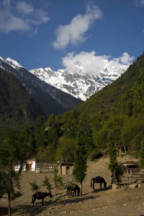 竖图,彩色,旅游,度假,名胜古迹,山,树林,雪山,标志建筑,地标,建筑,香格里拉,中国,亚洲,遗迹,景观,山顶,云,古迹,文物,娱乐,建设,古建筑,迪庆,梅里雪山,云南,树,天空,自然,享受,休闲,旅游胜地,景色,放松,竖,摄影,地理,矗立,自然风光,耸立,古文明,东亚,地貌,中甸,迪庆藏族自治州,云南省,德钦县,中华人民共和国,西南地区,挺立,滇,迪庆州,香格里拉县,旅行,地质,明永冰川,奶诺戈汝冰川,bj174