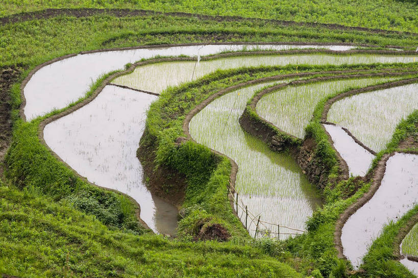 农田,横图,俯视,彩色,室外,白天,旅游,度假,庄稼,农作物,名胜古迹,田园,标志建筑,地标,建筑,黄果树,中国,亚洲,遗迹,图片,乡村,古迹,文物,娱乐,建设,古建筑,自然,享受,休闲,旅游胜地,景色,放松,摄影,美好,自然风光,古文明,东亚,贵州,中华人民共和国,旅行,耕地,庄稼田,bj174
