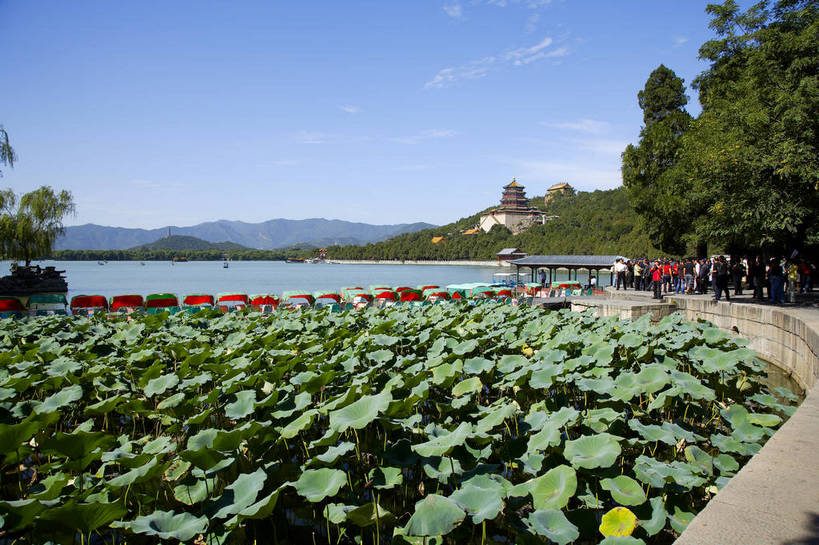 公园,颐和园,横图,彩色,室外,白天,旅游,度假,湖,名胜古迹,标志建筑,地标,建筑,北京,中国,遗迹,图片,古迹,文物,娱乐,建设,古建筑,树木,荷花池,湖水,享受,休闲,旅游胜地,放松,摄影,自然风光,古文明,东亚,万寿山,昆明湖,佛香阁,旅行,bj174