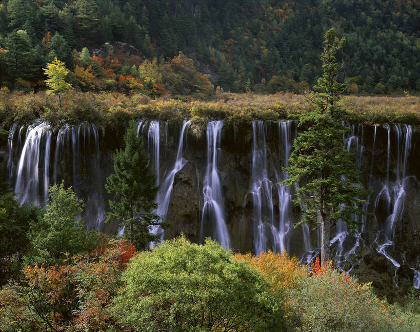 无人,横图,彩色,室外,特写,白天,旅游,度假,美景,名胜古迹,瀑布,树林,溪流,植物,标志建筑,地标,建筑,九寨沟,中国,亚洲,遗迹,图片,古迹,文物,娱乐,建设,古建筑,风景,小溪,自然,享受,休闲,旅游胜地,放松,茂密,摄影,地理,四川省,茂盛,风光,宁静,自然风光,古文明,东亚,四川,阿坝,中华人民共和国,西南地区,阿坝藏族羌族自治州,阿坝州,川,九寨沟县,五彩斑斓,诺日朗瀑布,bj174