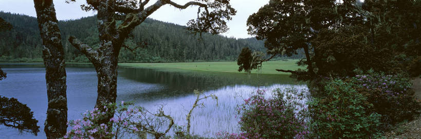 无人,横图,俯视,彩色,室外,特写,白天,旅游,度假,湖,美景,名胜古迹,树林,植物,标志建筑,地标,建筑,香格里拉,中国,亚洲,遗迹,图片,红树,水潭,古迹,文物,娱乐,建设,古建筑,迪庆,云南,风景,自然,享受,休闲,旅游胜地,放松,茂密,摄影,地理,茂盛,风光,宁静,近景,自然风光,古文明,东亚,中甸,迪庆藏族自治州,云南省,中华人民共和国,西南地区,五彩斑斓,滇,迪庆州,香格里拉县,碧塔海自然保护区,bj174