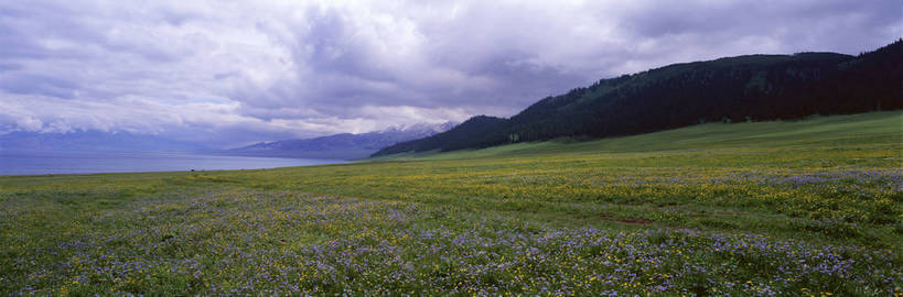 无人,横图,彩色,室外,白天,旅游,度假,草原,湖,美景,名胜古迹,山,山脉,田园,标志建筑,地标,建筑,中国,亚洲,遗迹,图片,田野,云,古迹,文物,娱乐,建设,古建筑,绿色,风景,蓝天,天空,自然,湖水,平原,群山,享受,休闲,远景,旅游胜地,放松,摄影,地理,风光,宁静,空旷,自然风光,古文明,东亚,新疆,赛里木湖,bj174