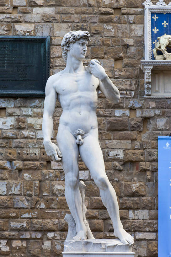 广场,竖图,彩色,室外,白天,旅游,度假,名胜古迹,标志建筑,地标,建筑,喷泉,雕塑,意大利,佛罗伦萨,遗迹,艺术,雕像,图片,水池,建筑群,古典,古迹,文物,娱乐,建设,古建筑,地标建筑,享受,休闲,旅游胜地,放松,人体,摄影,文明,古文明,世界文化遗产,古代文明,米开朗基罗广场,旅行,传统文化,bj174