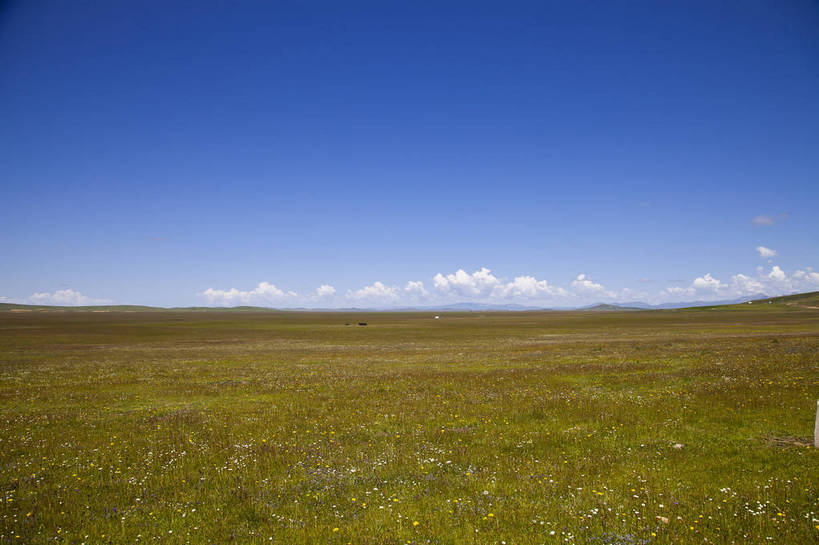 无人,横图,彩色,室外,白天,旅游,度假,草原,美景,名胜古迹,山,山脉,田园,标志建筑,地标,建筑,中国,亚洲,遗迹,图片,田野,古迹,文物,娱乐,建设,古建筑,白云,风景,蓝天,天空,自然,平原,享受,休闲,远景,旅游胜地,放松,摄影,地理,四川省,风光,宁静,自然风光,古文明,东亚,甘肃,甘肃省,四川,碌曲县,郎木寺,阿坝,郎木寺镇,中华人民共和国,西南地区,阿坝藏族羌族自治州,阿坝州,川,西北地区,甘,郎木寺乡,花湖,若尔盖县,若尔盖花湖,若尔盖,bj174