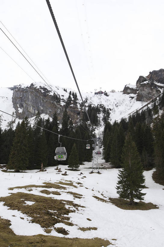 竖图,彩色,室外,白天,旅游,度假,美景,名胜古迹,森林,山,山脉,雪山,标志建筑,地标,建筑,松树,瑞士,欧洲,遗迹,图片,山峰,古迹,文物,娱乐,建设,古建筑,缆车,天空,自然,享受,休闲,滑雪场,旅游胜地,放松,竖,摄影,风光,度假村,古文明,中欧,瑞士联邦,旅行,上瓦尔登州,铁力士峰,铁力士雪山,bj174